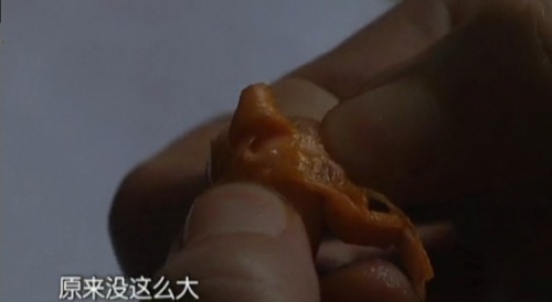 点击图片分享到上海滩微博