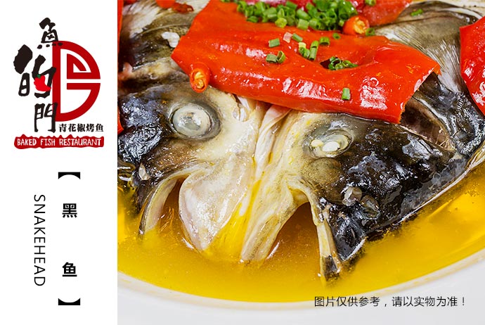 鱼的门.jpg